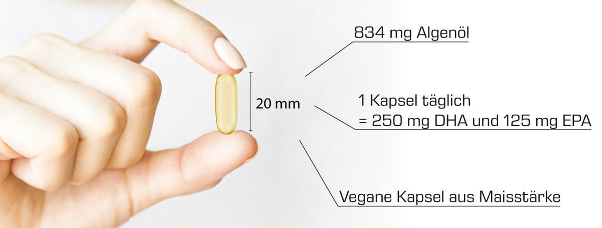 Omega-3 Algenöl Kapseln Inhalt Zusammensetzung auf einen Blick