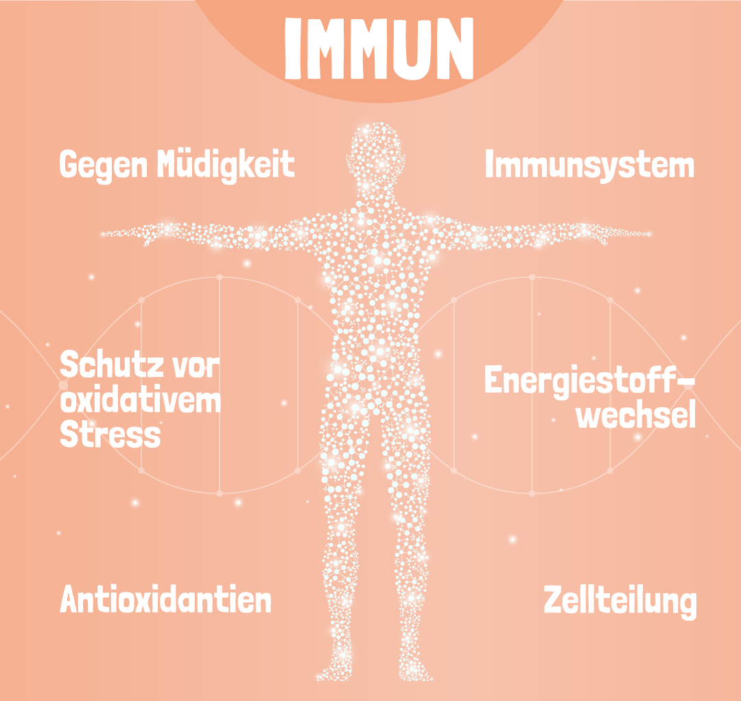 Immun Wirkung