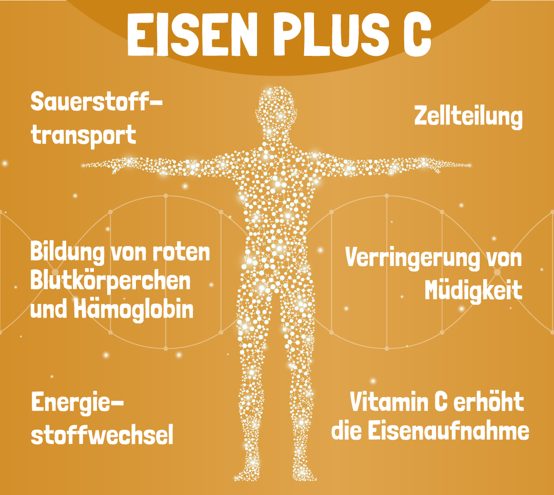 Eisen Funktionen im Körper