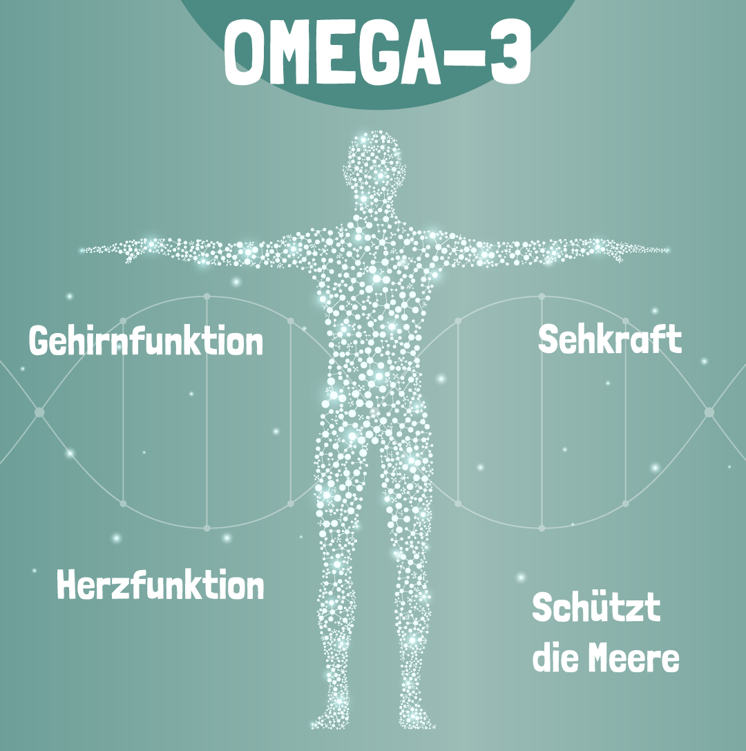Funktionen von Omega-3