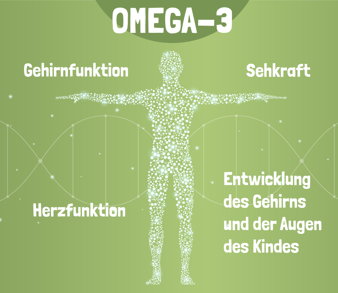 Omega-3 Algenöl Funktionen