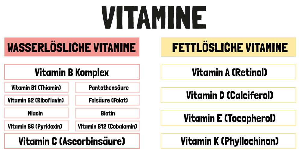 Wasserlösliche vs. fettlösliche Vitamine