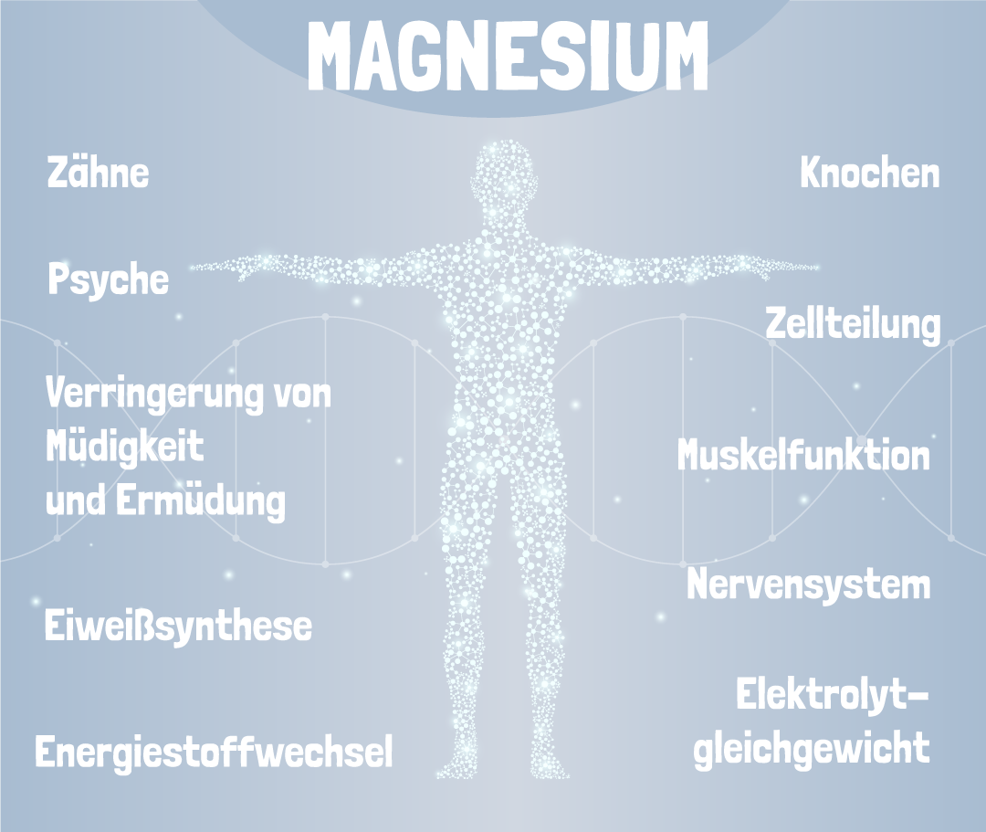 Magnesium Wirkung