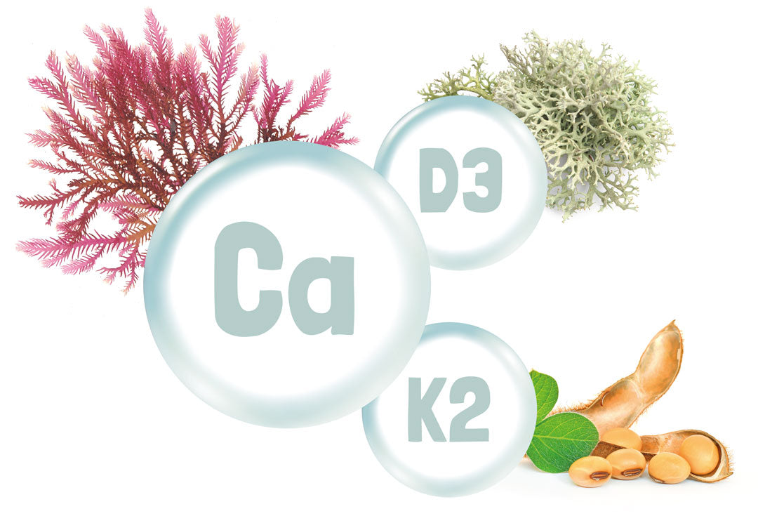 Calcium, Vitamin D3 und Vitamin K2