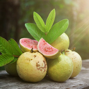 Zink aus Guave