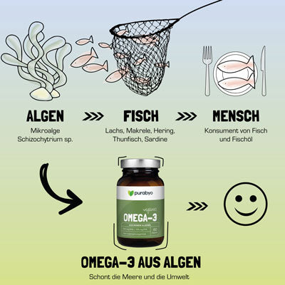 Algen Fisch Mensch: Omega-3 aus Algen