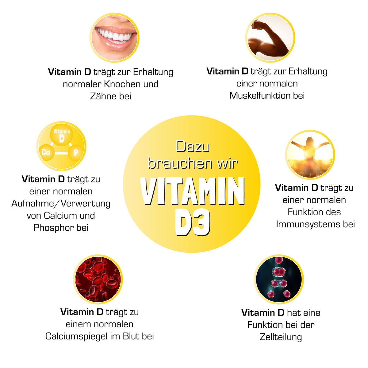 Aufgaben Vitamin D