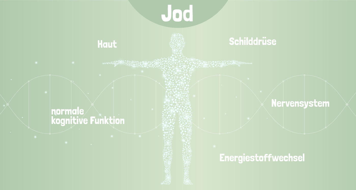 Gesundheitsvorteile von Jod