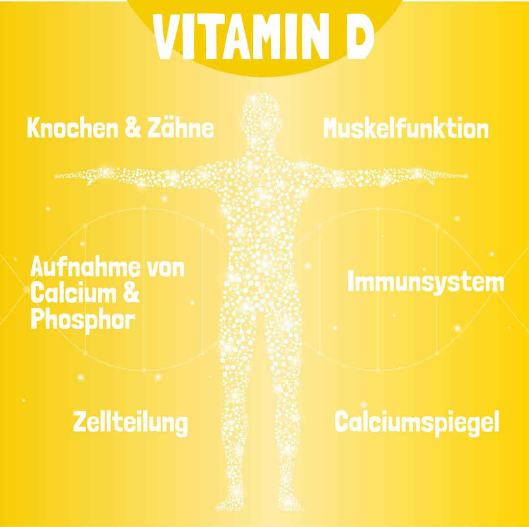 Vitamin D Wirkung