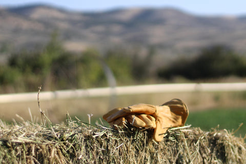 iron fencer leather work gloves laying on hay stack in a field