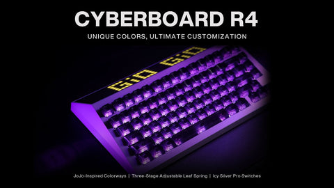 cyberboard r4 from angry miao sold on space cables website