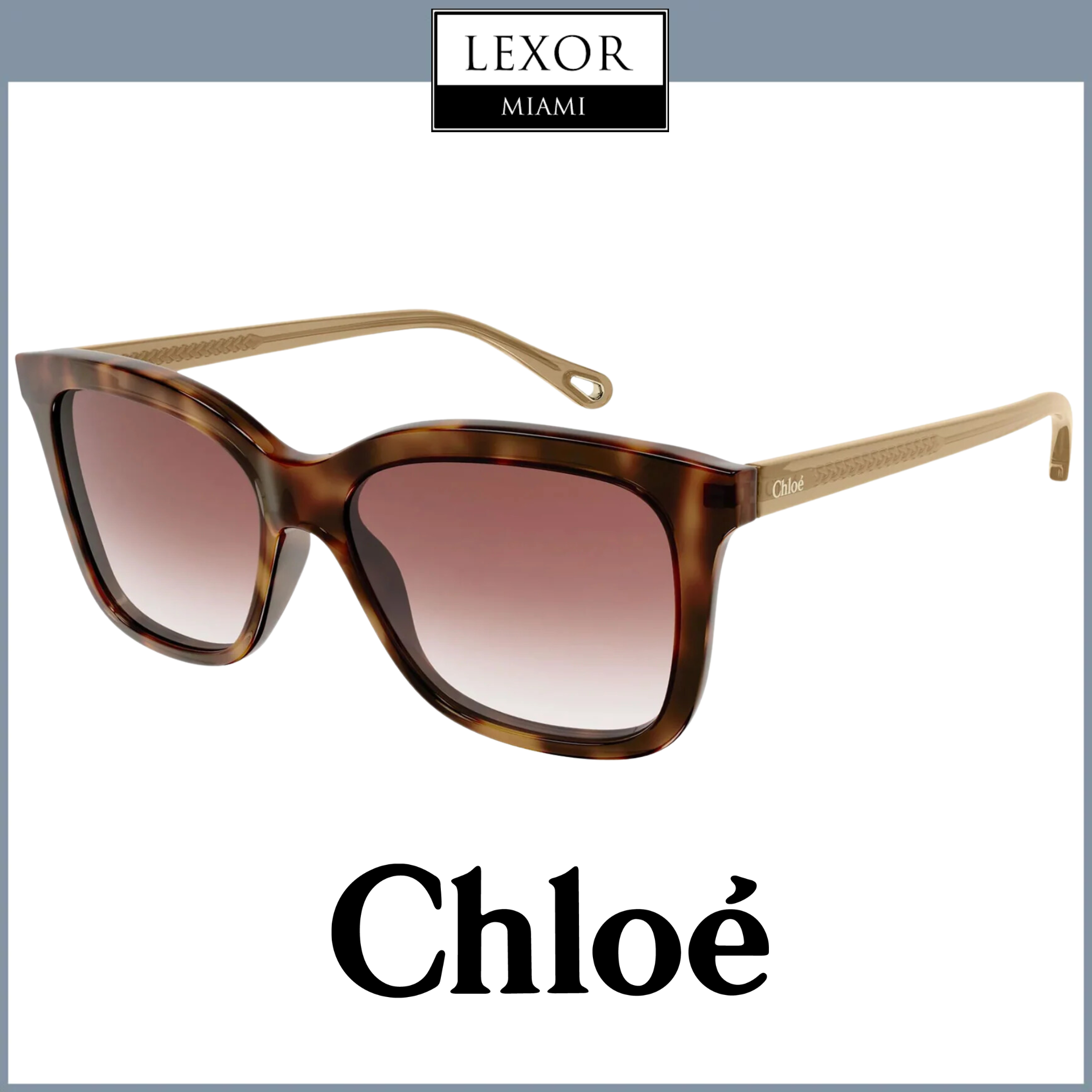 Chloe CH0079S-001 56 Sunglass WOMAN BIO ACETAT