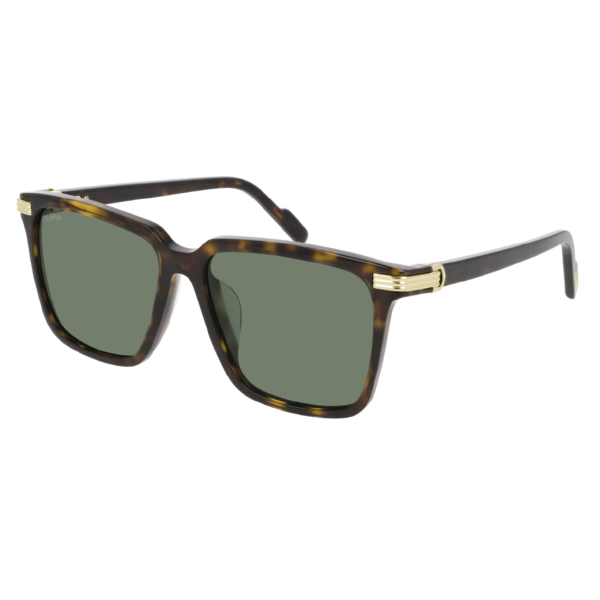 Cartier CT0220SA-002 56 Sunglass MAN ACETATE