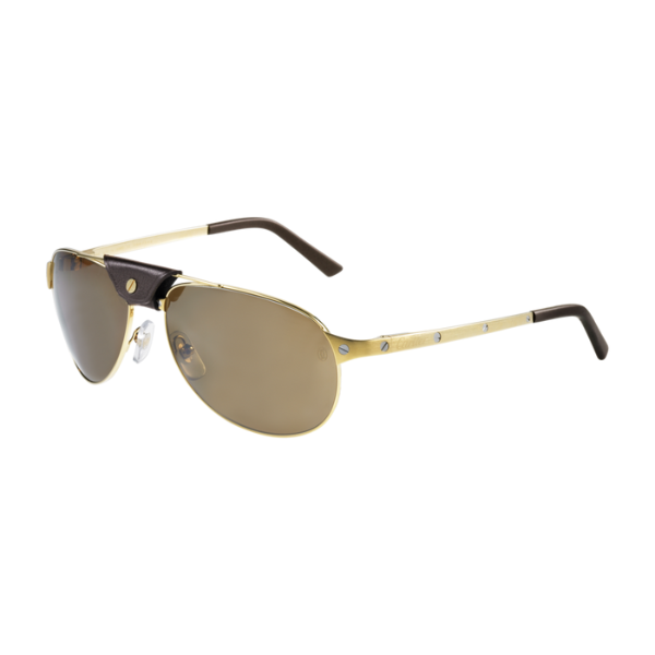 Cartier CT0074S 003 61 Unisex Sunglasses