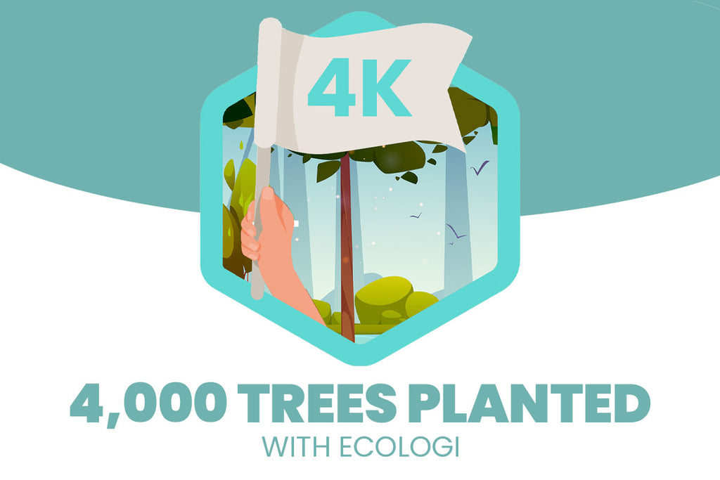 Artovo Ecologi 4000 Trees Planted Sustainabilty