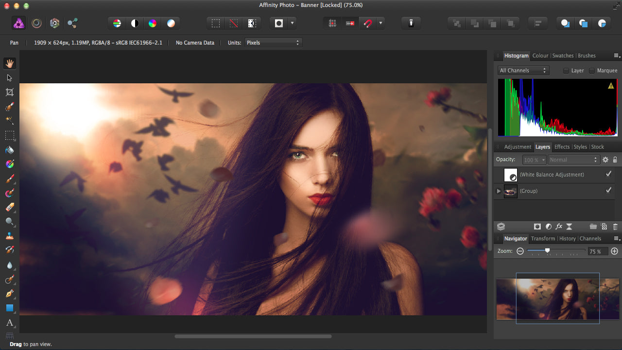 Artovo Affinity Photo