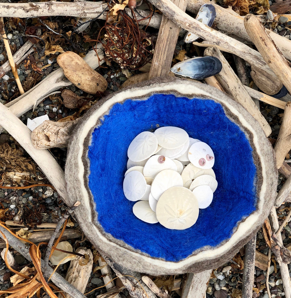 Sand Dollars in Geode Bowl