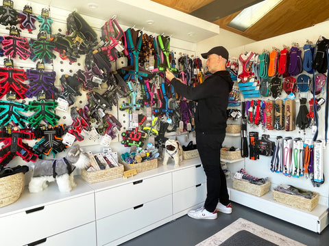 A person looks at dog harnesses in the Harbour City Dog Gear Fitting Studio.
