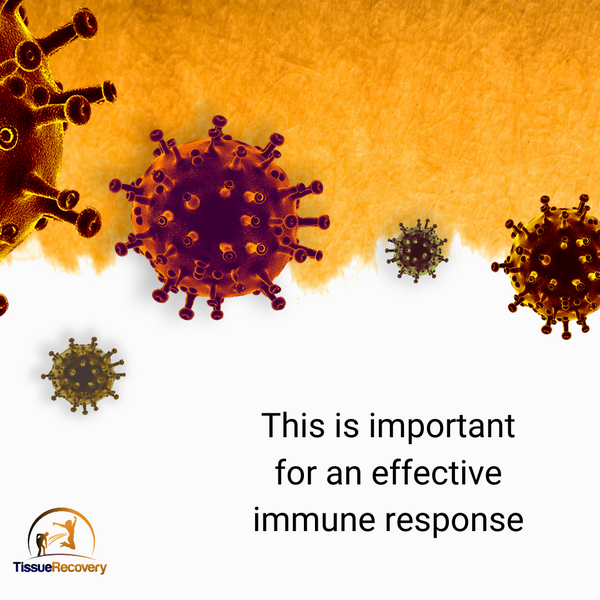 This is important for an effective immune response