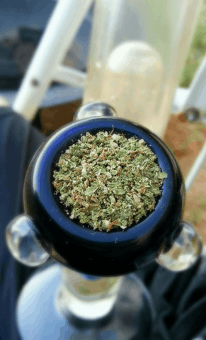 weed packed bowl