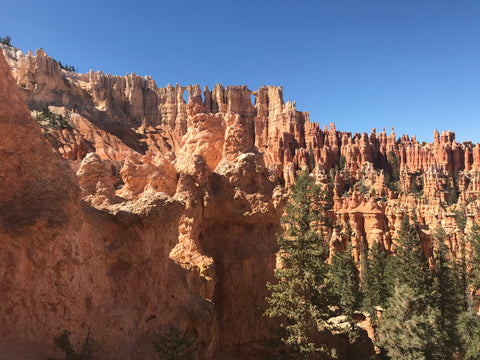 Just a glimpse of hoodoos at the Bryce Amphitheater in Bryce Canyon