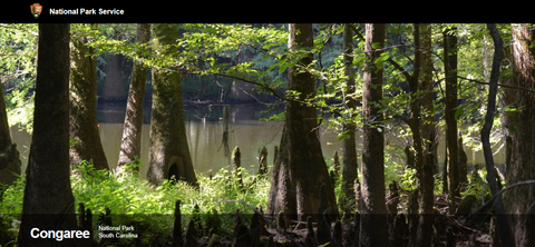 Congaree National Park