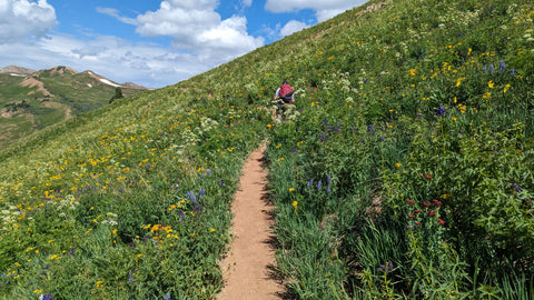 wild flower trail