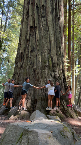 Family tree hug in Redwood National Park