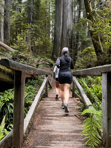 Morning run in Redwood National Park