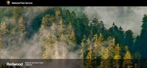 Redwood National Park