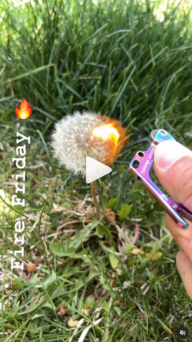 Firebiner by Outdoor Element sparks dandelion on fire