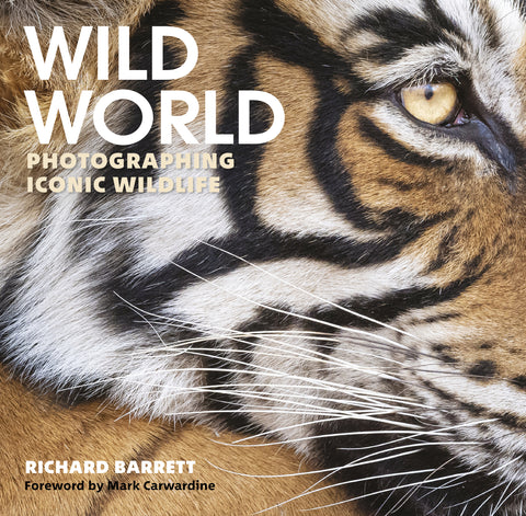 Wild Word, Richard Barrett