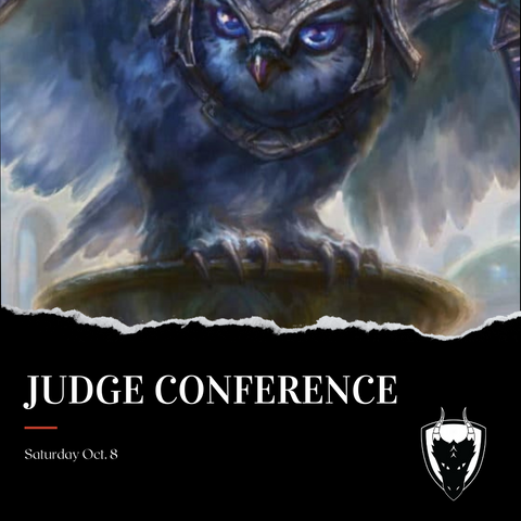 Judge Academy Owl