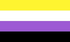 Pride Flag Non-Binary