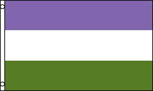 Pride Flag Genderqueer