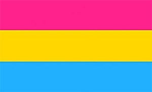 Pride Flag  Pansexual