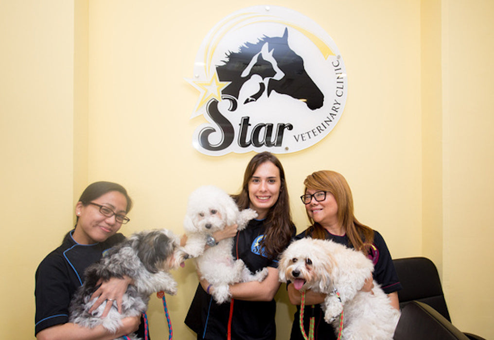 Star Veterinary Clinic
