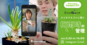 Pages Greensnapstore