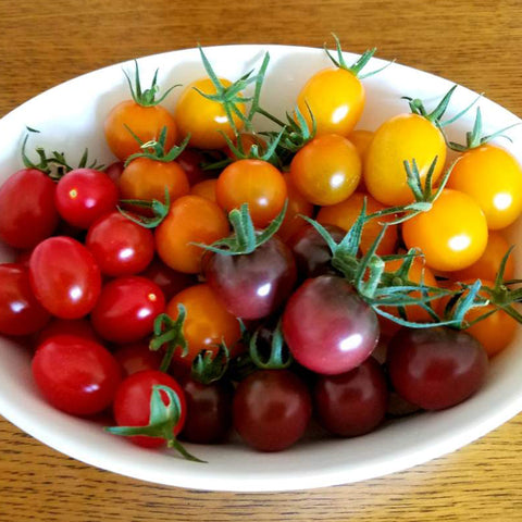 〜いろんな色のトマトを食べ比べしたい〜トマトのセット