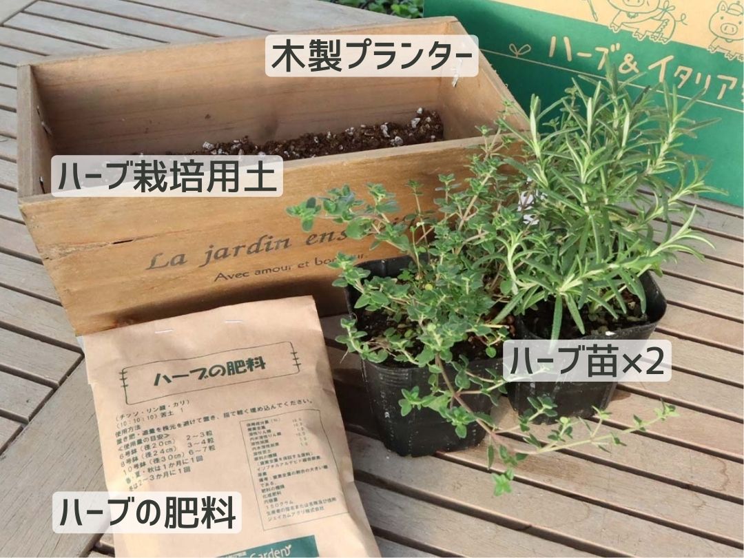 【ハーブ栽培キット】ハーブ苗×2個、土、肥料、プランターセット（木製プランター）