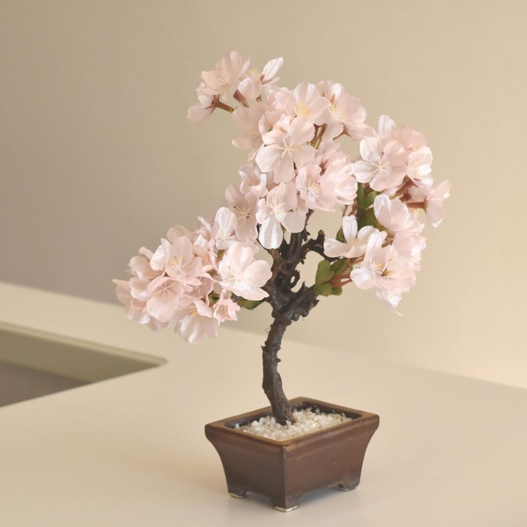 桜のドライ盆栽® 「花見」盆栽鉢（茶）