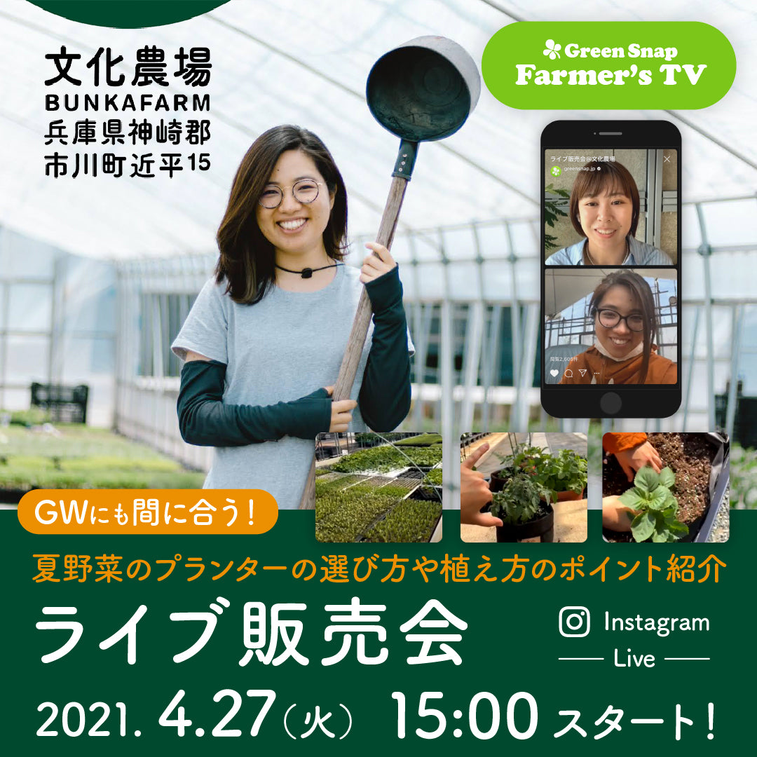 GWにも間に合う！　夏野菜の選び方上方のポイントを紹介　ライブ販売会