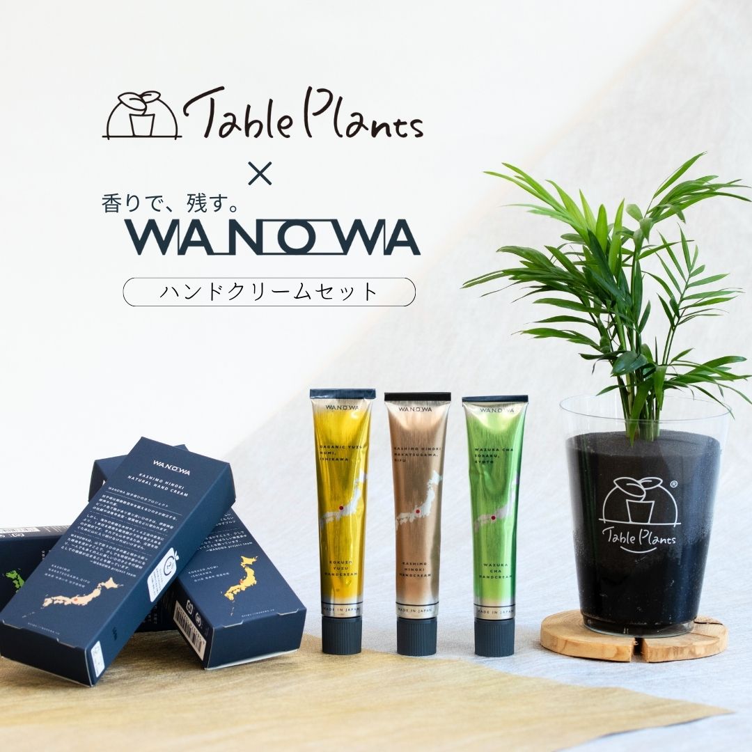 【限定販売】TablePlants(テーブルプランツ) & WANOWAハンドクリームセット