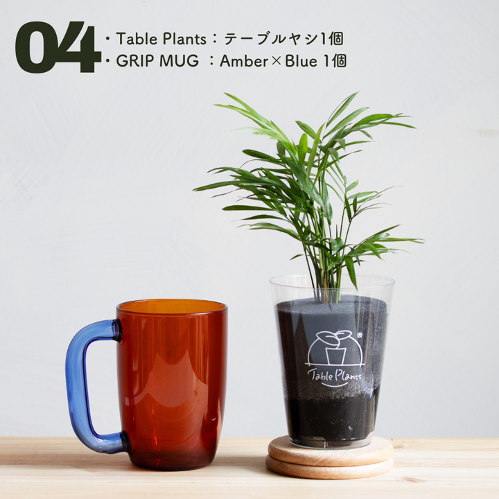 予約商品※【カンパイプランツ！】テーブルプランツ(Table Plants ...