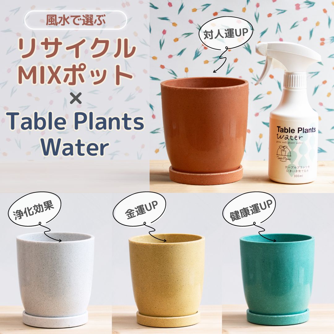【Table Plantsにぴったり！】リサイクルMIXポット+テーブルプランツウォーターセット