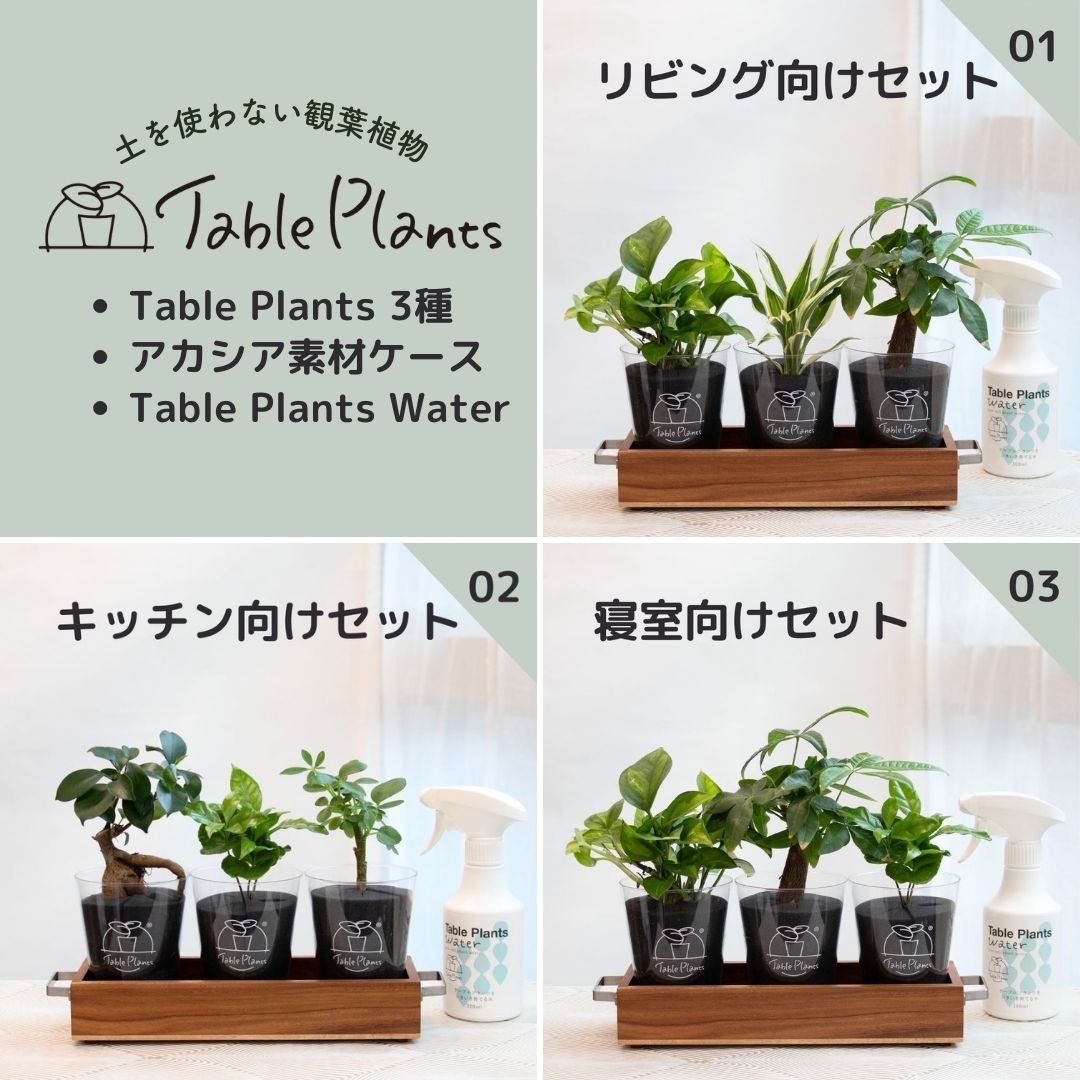 テーブルプランツ(Table Plants) 3種+アカシア素材ケーセット ※Table Plants Water付き
