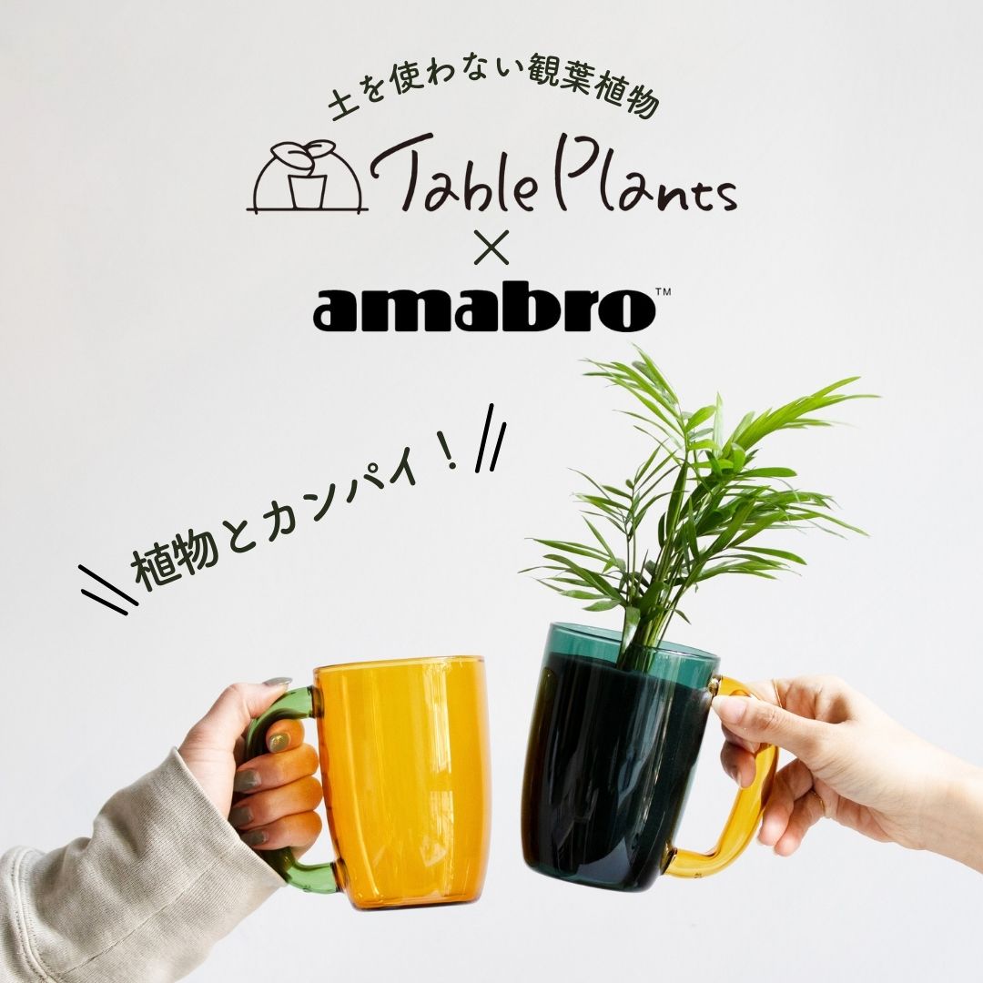 予約商品※【カンパイプランツ！】テーブルプランツ(Table Plants ...