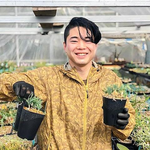 珍奇植物　生産者　エリオクエスト