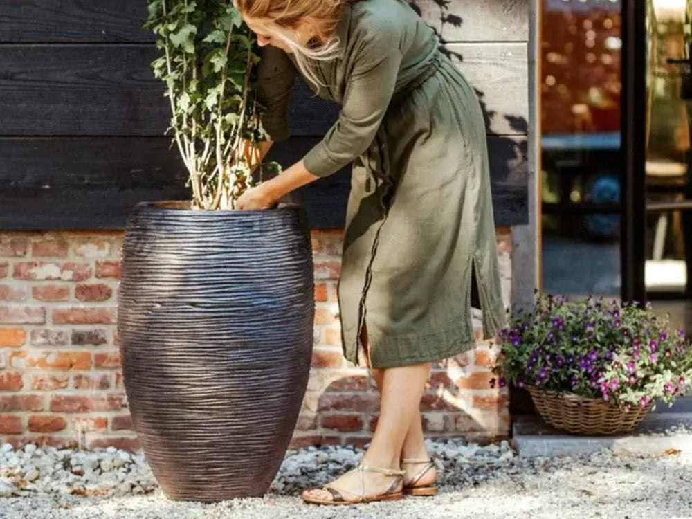 驚きの価格 植木鉢 - linsar.com
