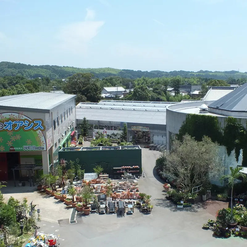 赤塚植物園 GreenSnap店